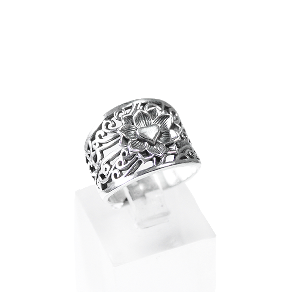 img catalogo